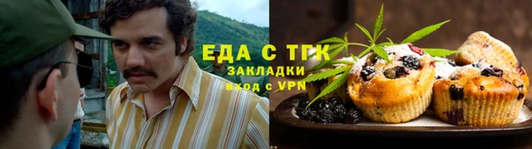 соль ск Каменка