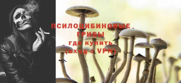 ПСИЛОЦИБИНОВЫЕ ГРИБЫ Каменск-Шахтинский