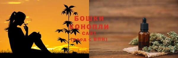 соль ск Каменка