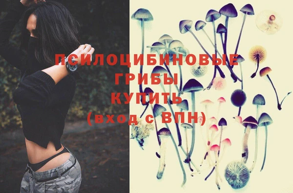тгк Каменногорск