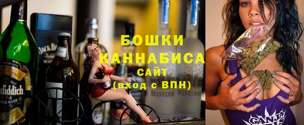 тгк Каменногорск