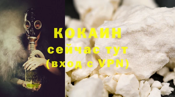 тгк Каменногорск
